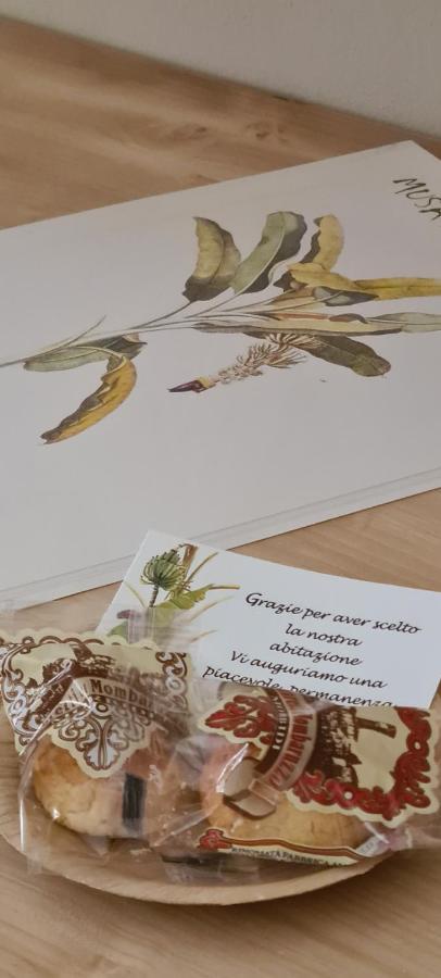 Musa Paradisiaca Турин Экстерьер фото